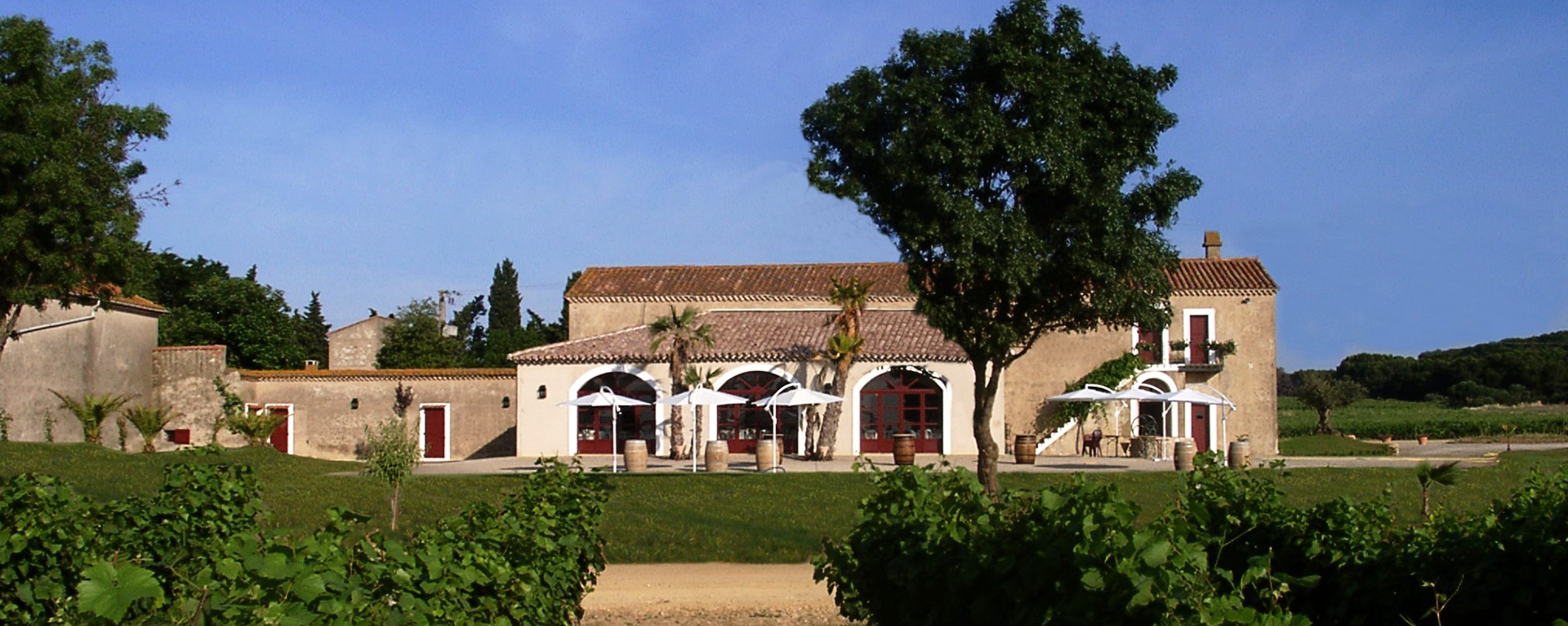 Vue extérieure de jour de la salle de réception de la Bergerie de la Vernède dans l'Hérault s'ouvrant sur un jardin de 5 000 m², aux pieds des vignes